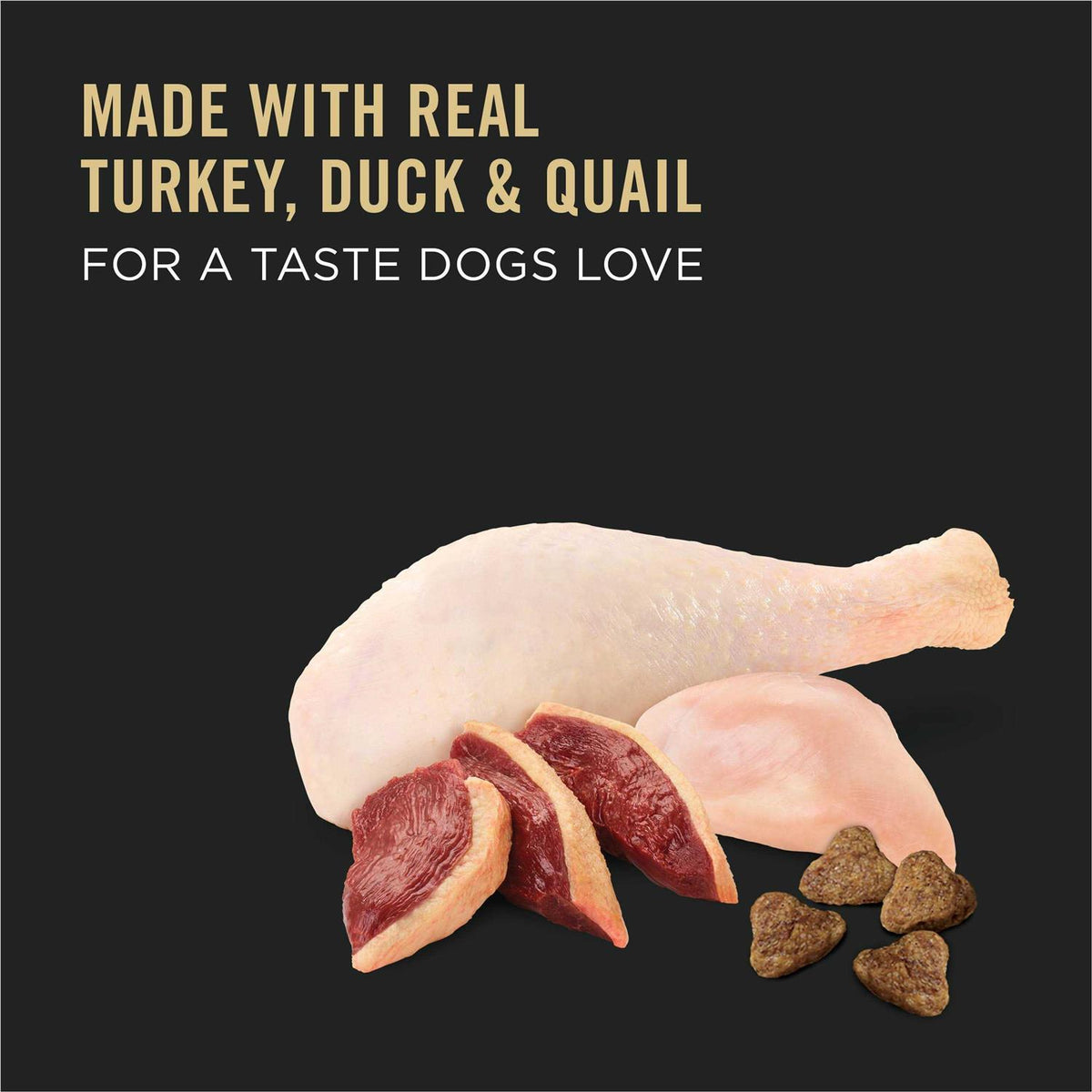 Turkey Duck & Quail Dry Dog Food R855