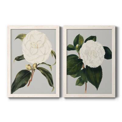 Camellia Japonica Framed Canvas L425667