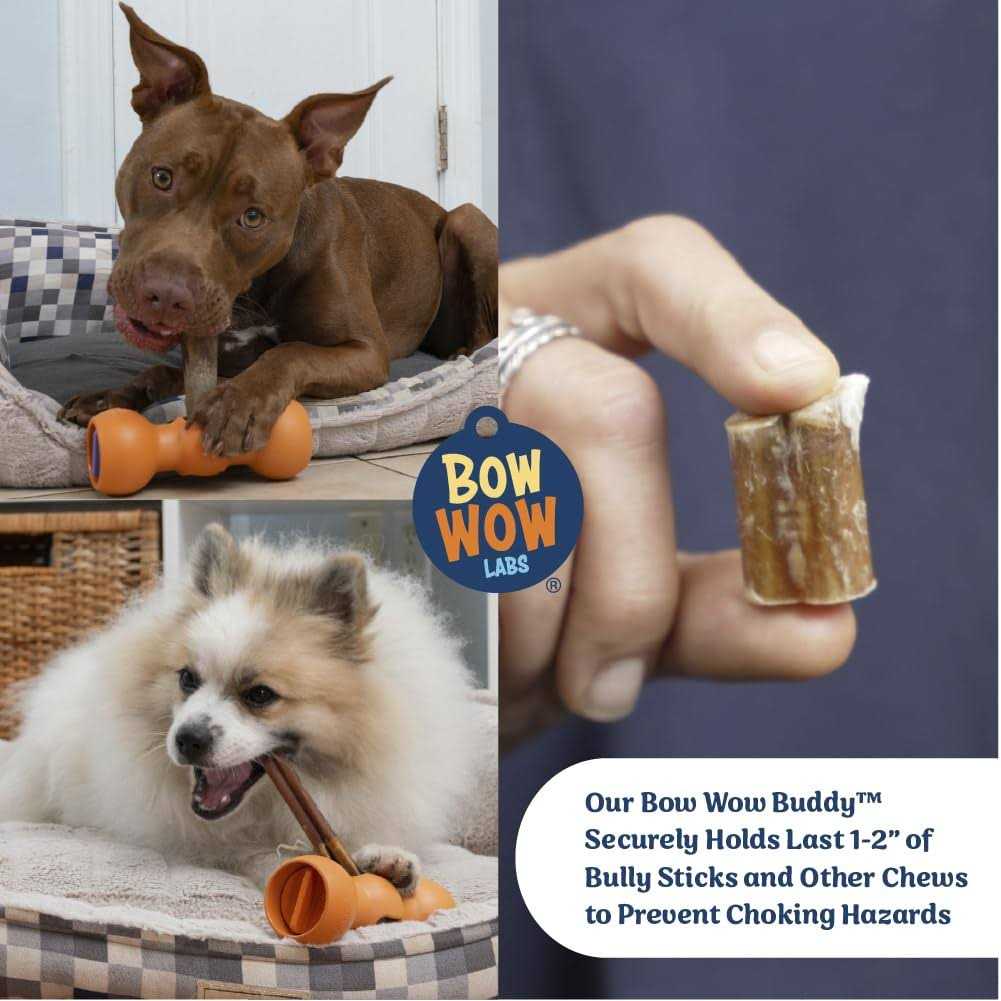 Bully Stick Holder for Dogs Starter Kit S44006