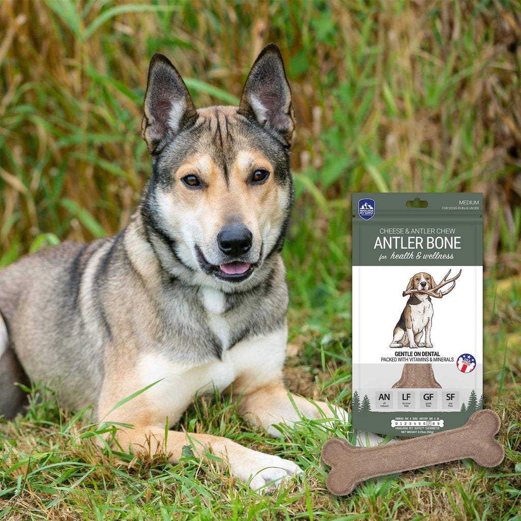 Dog Chew V37390