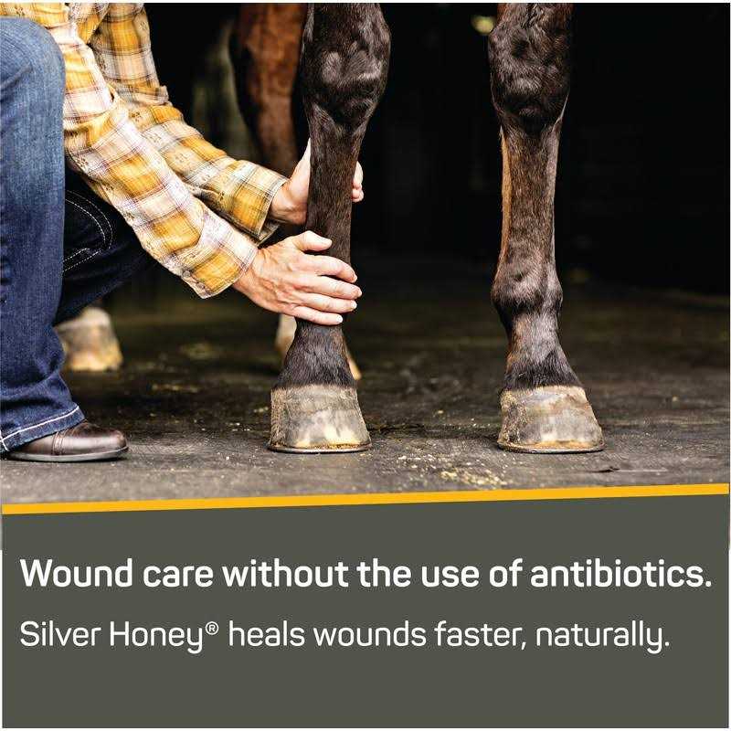 Silver Honey Wound Repair Ointment S76017