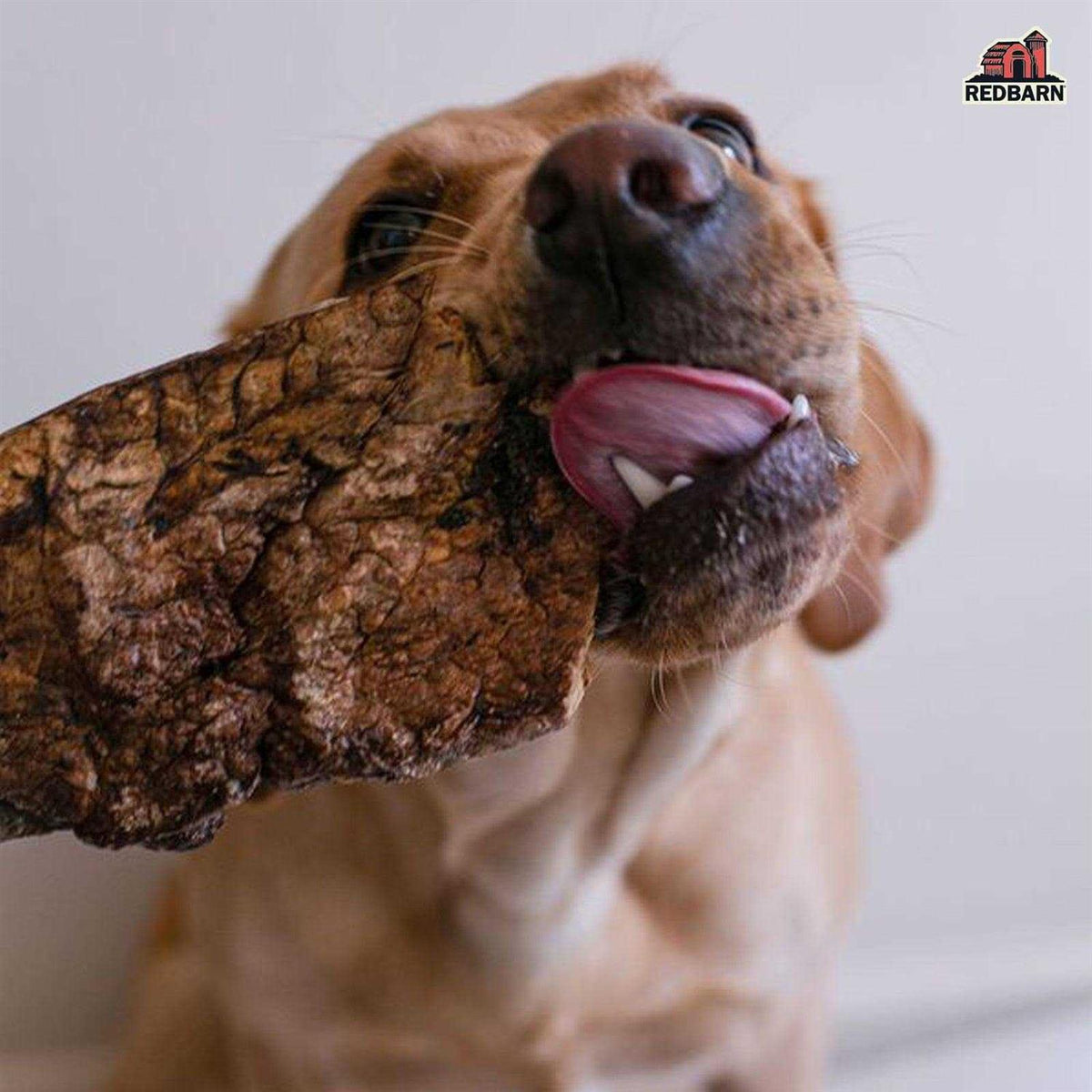 Dog Treats R9280