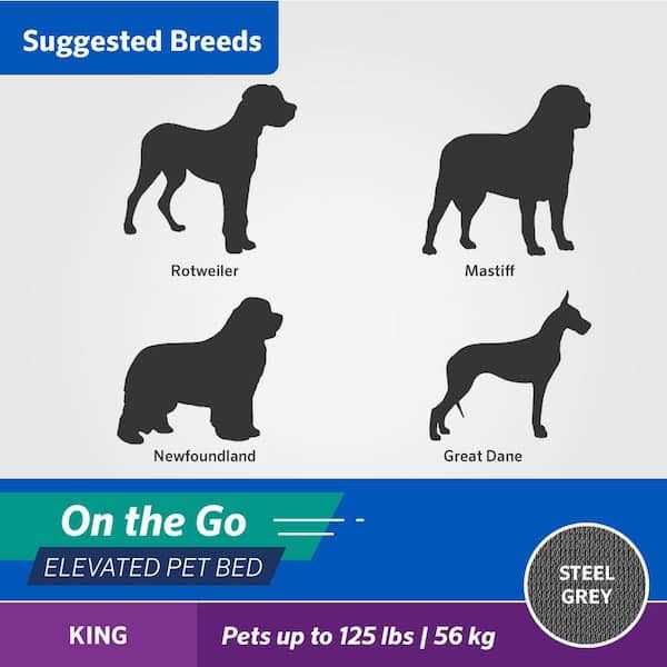 Elevated Pet Bed W3360