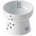 Raised Cat Water Bowl with Measurement Lines D6205