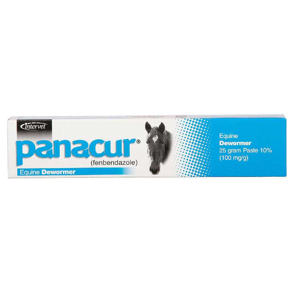 Horse Dewormer Paste H4229