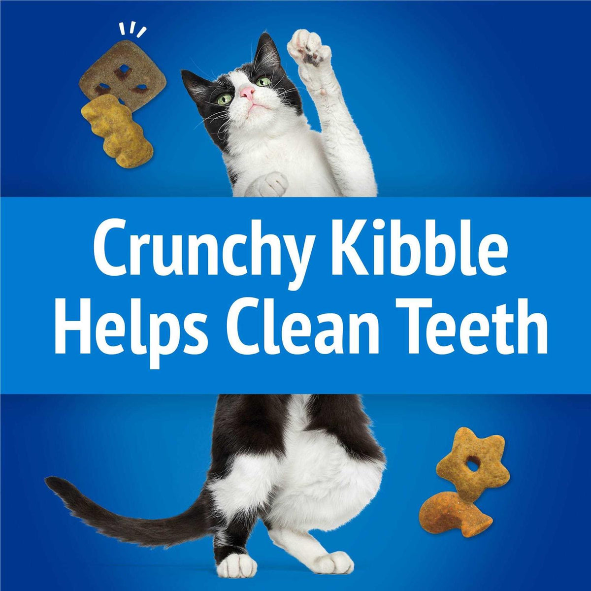 Cat Treats E53078