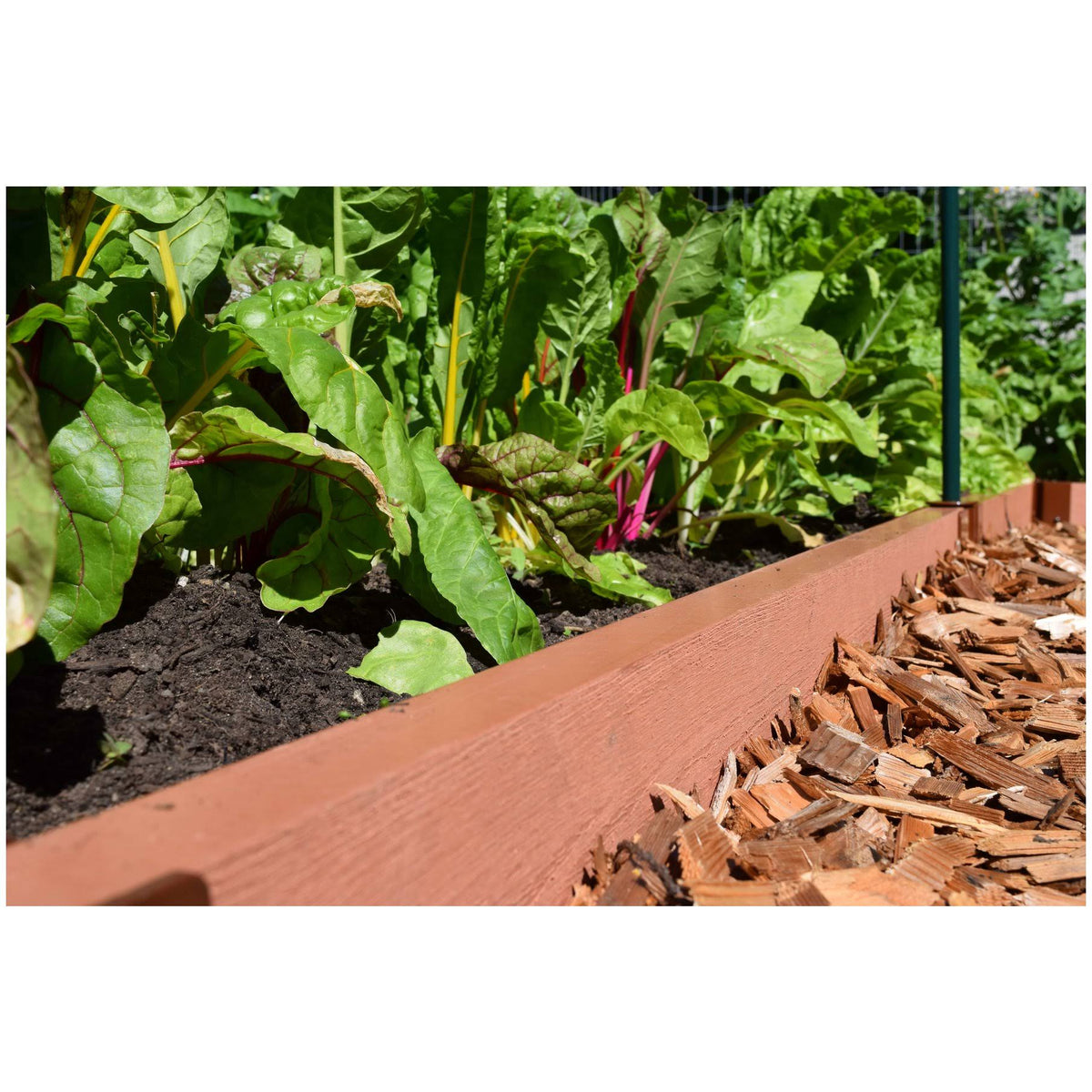 Classic Sienna Straight Landscape Edging Kit Y287720