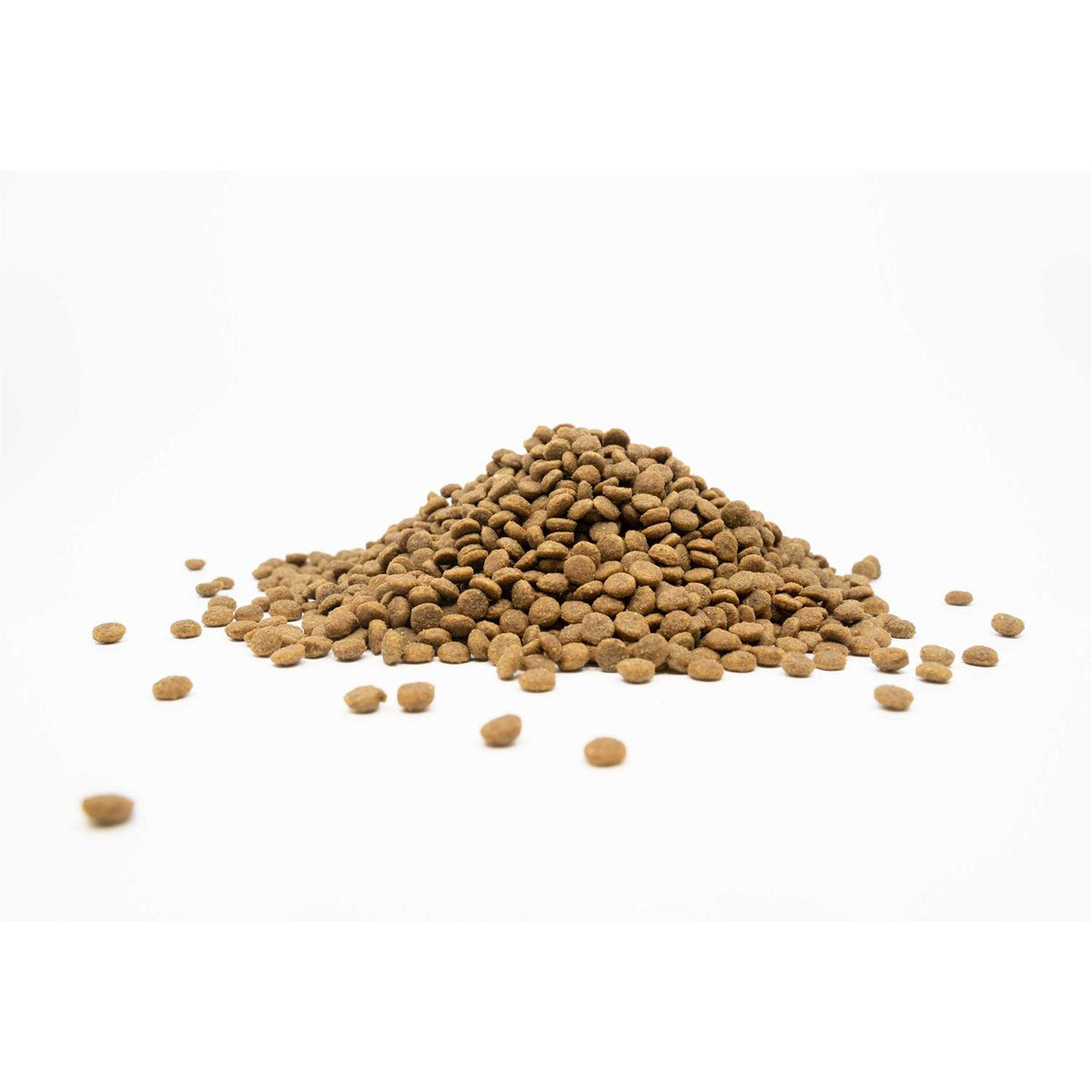 Grain-Free White Fish Small Breed Dog Dry Food Y379