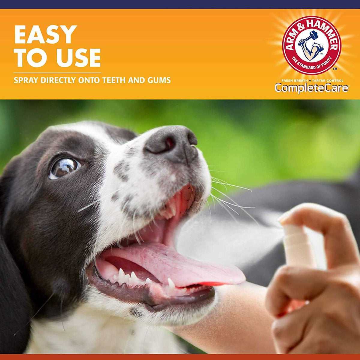 Dog Dental Spray C3197