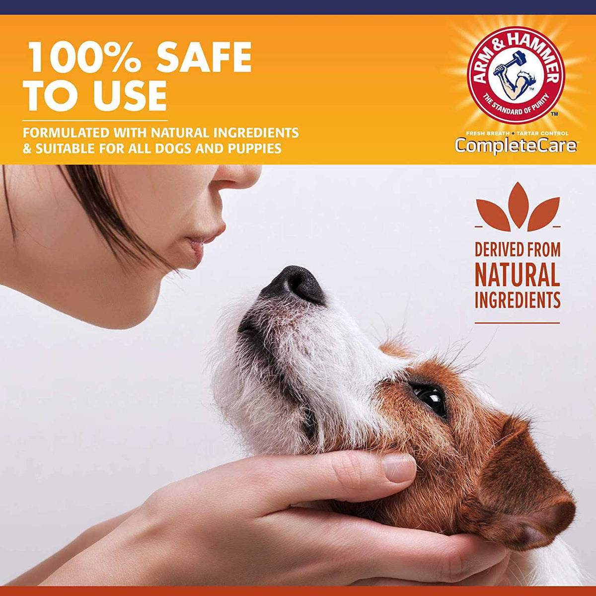 Dog Dental Spray C3197