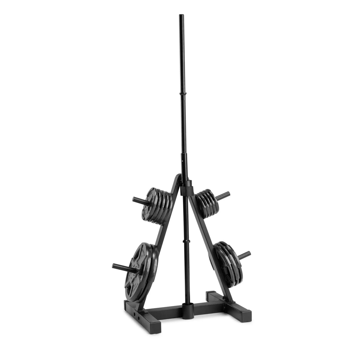 Weight Plate Tree Rack R698325