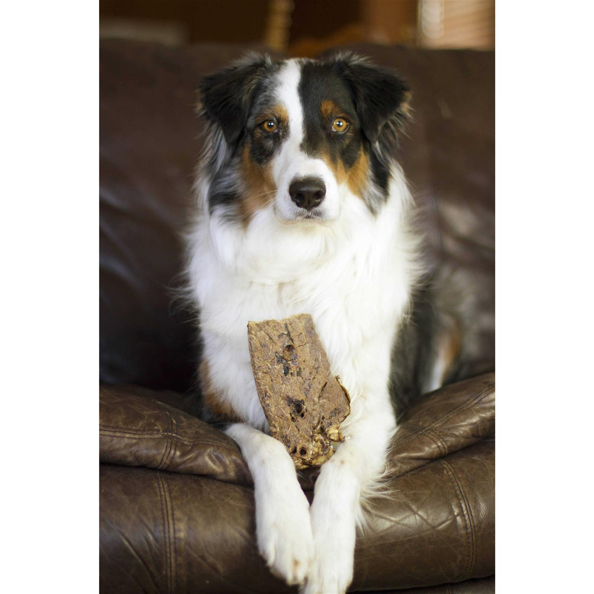 Dog Treats R9280