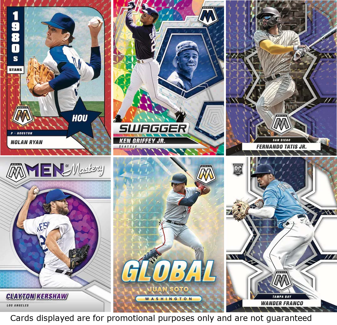 Trading Cards Y73010