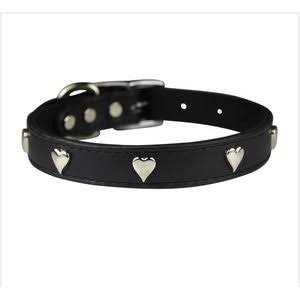 Leather Dog Collar H255898
